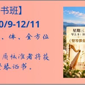 【竖琴疗愈证书班】2026年 秋季班